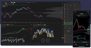 Investor analyzing stock market dip with Vizzve Finance app